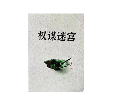 《权谋迷宫》PDF