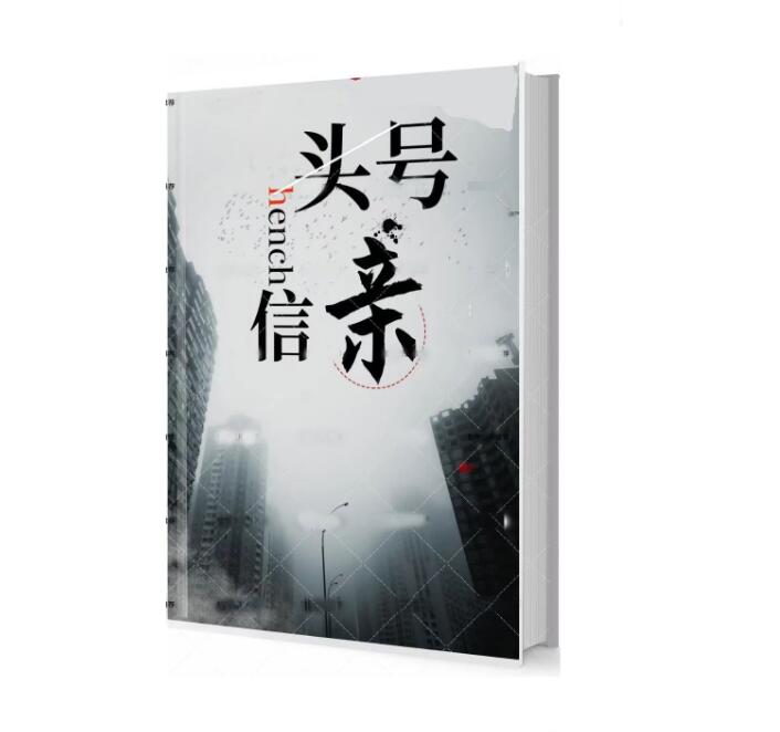 《头号亲信》PDF