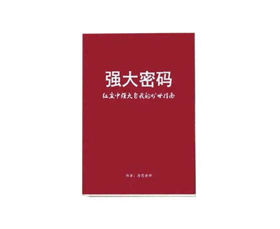 《强大密码》PDF