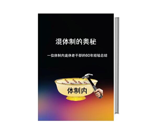 《混体制的奥秘》PDF