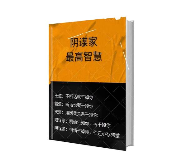 《阴谋家最高智慧》PDF