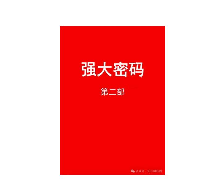 《强大密码2》PDF