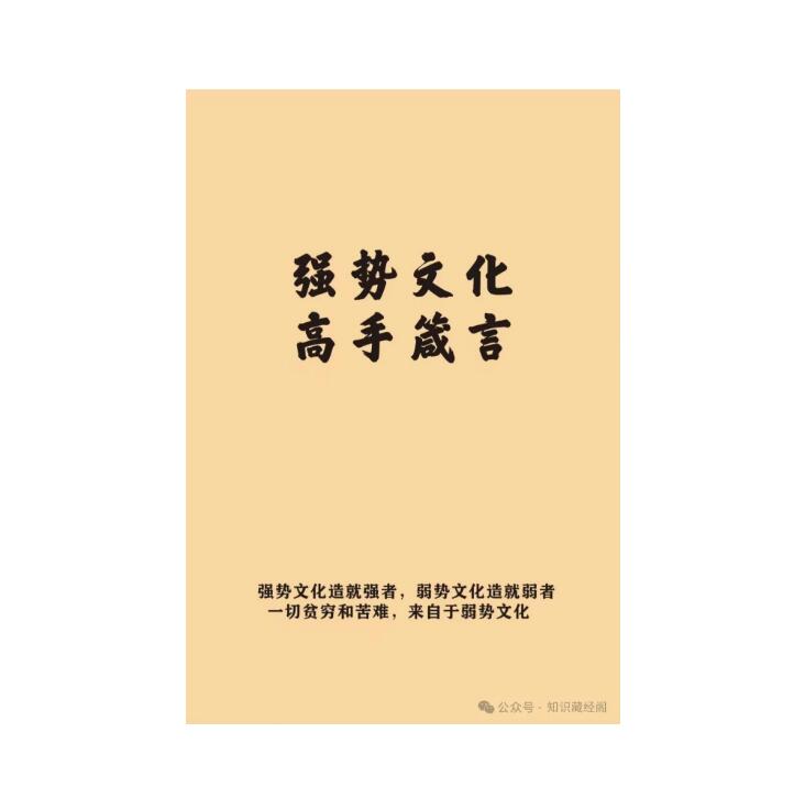 《强势文化高手箴言》PDF