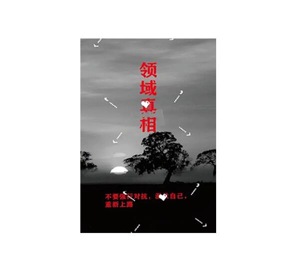 《领域真相》PDF