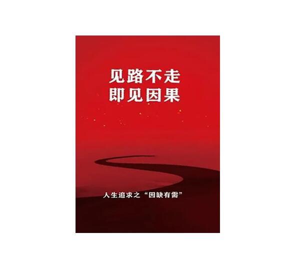 《见路不走 即见因果》PDF