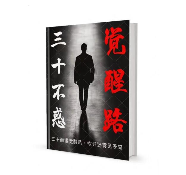 《三十不惑觉醒路》PDF