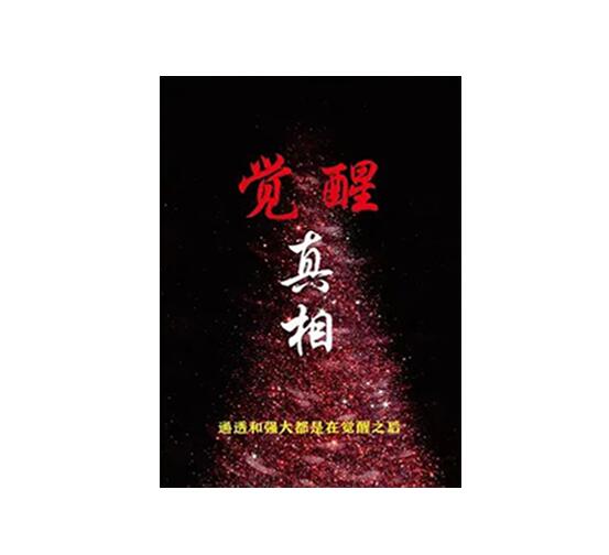 《觉醒真相》PDF