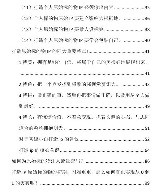 山鸡老人《个人IP赚钱系统》PDF