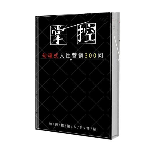 《勾心摄魂营销300问》PDF