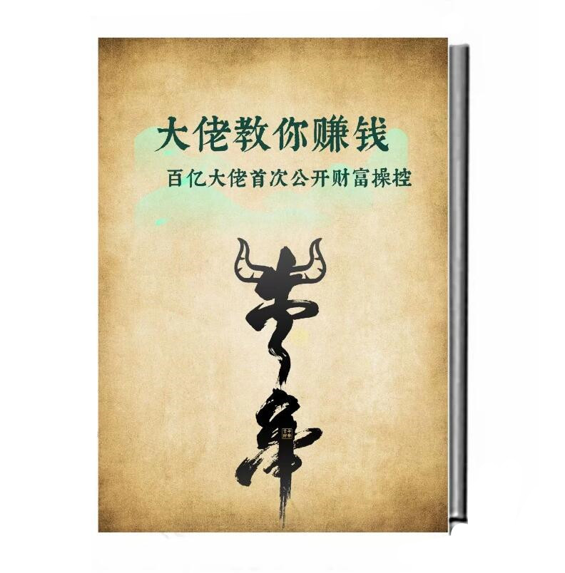 《大佬教你赚钱》PDF