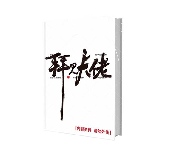 《拜见大佬》PDF