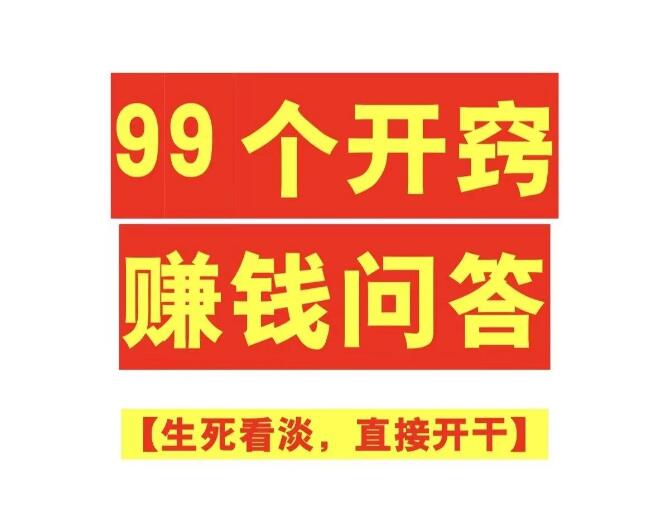 《99个开窍赚钱问答》PDF