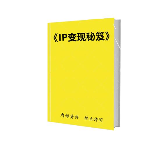 《IP变现秘笈》PDF