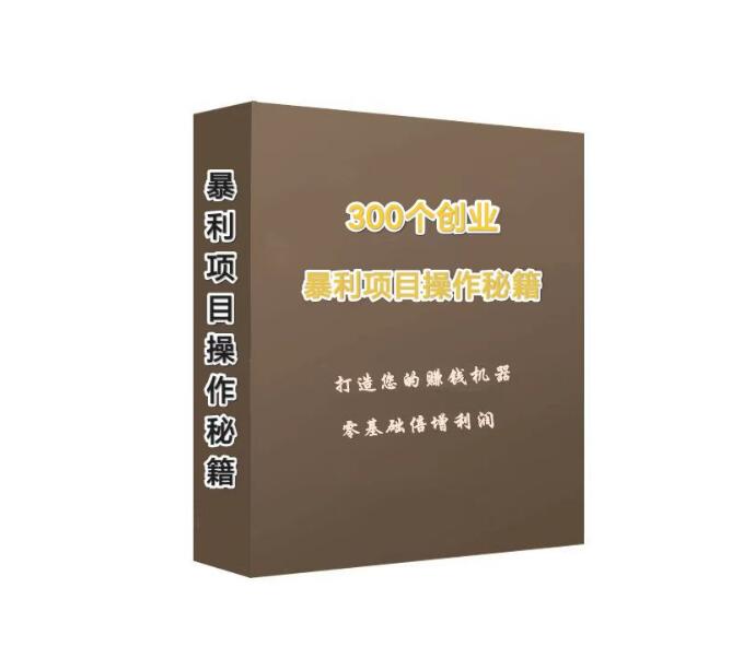 《300个创业暴利项目操作秘籍》PDF