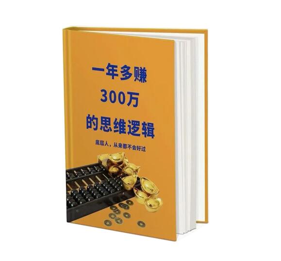 《一年多赚300万的思维逻辑》PDF