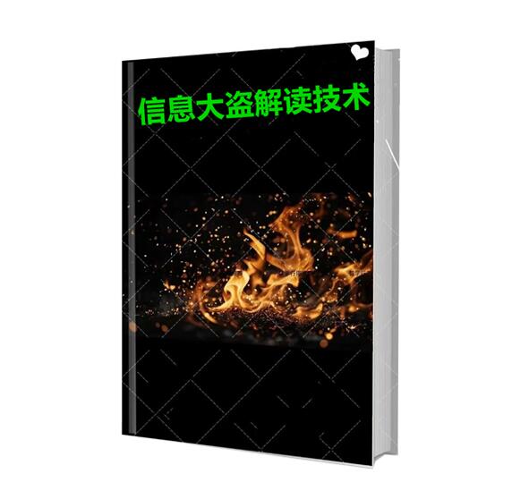 《信息大盗解读技术》PDF