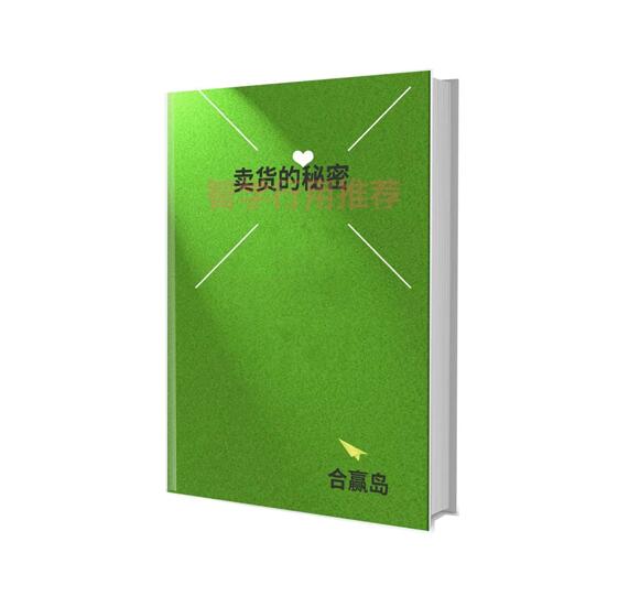 《卖货的秘密》PDF