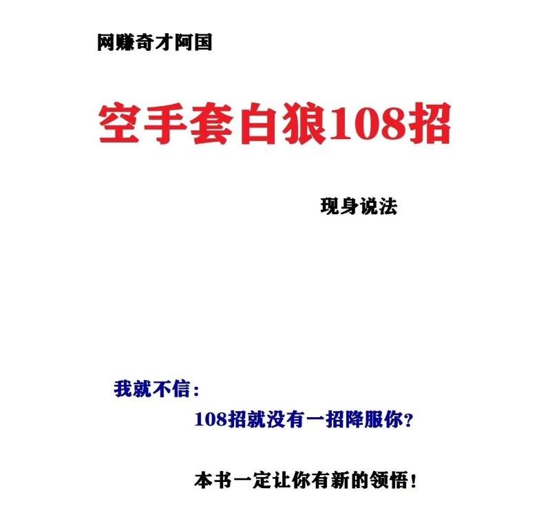 《阿国空手套白狼108招》PDF