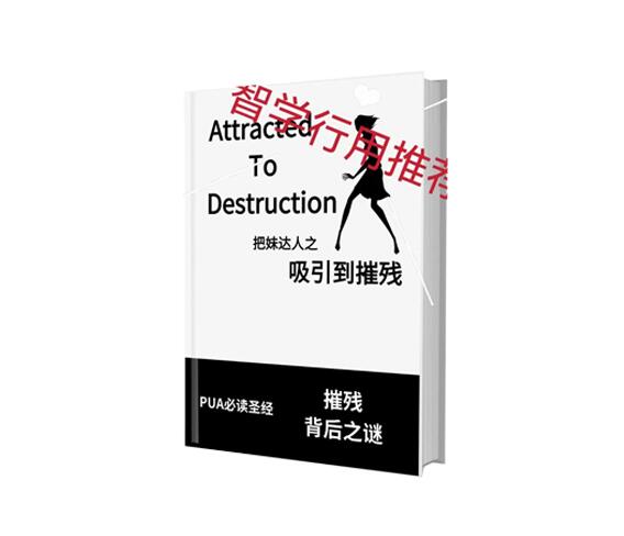 《吸引到摧残》PDF