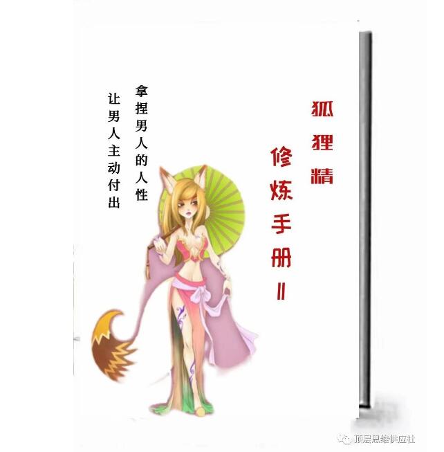 《狐狸精修炼手册II》PDF