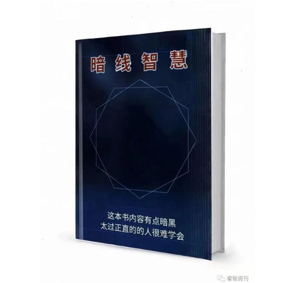 《暗线智慧》PDF