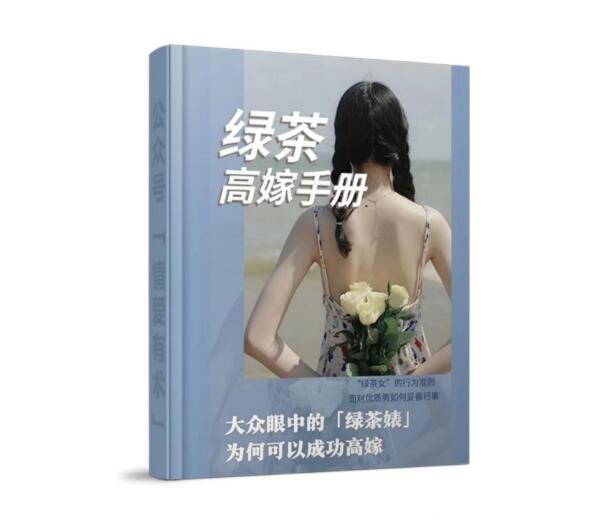 《绿茶高嫁手册》PDF