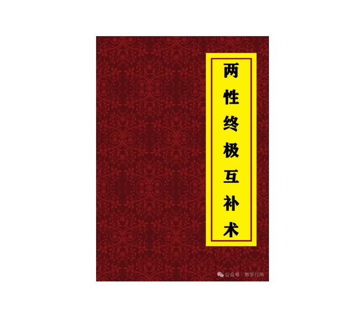 《两性终极互补术》PDF