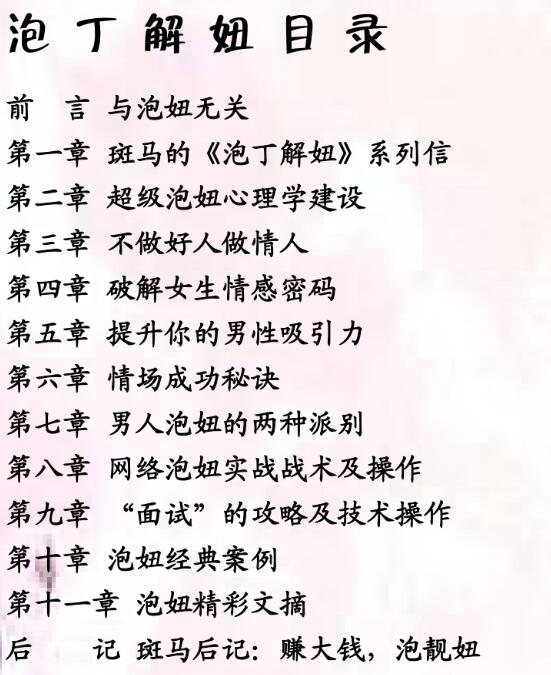 《泡丁解妞2.0》PDF