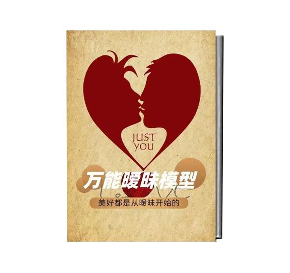 《万能暧昧模型》PDF