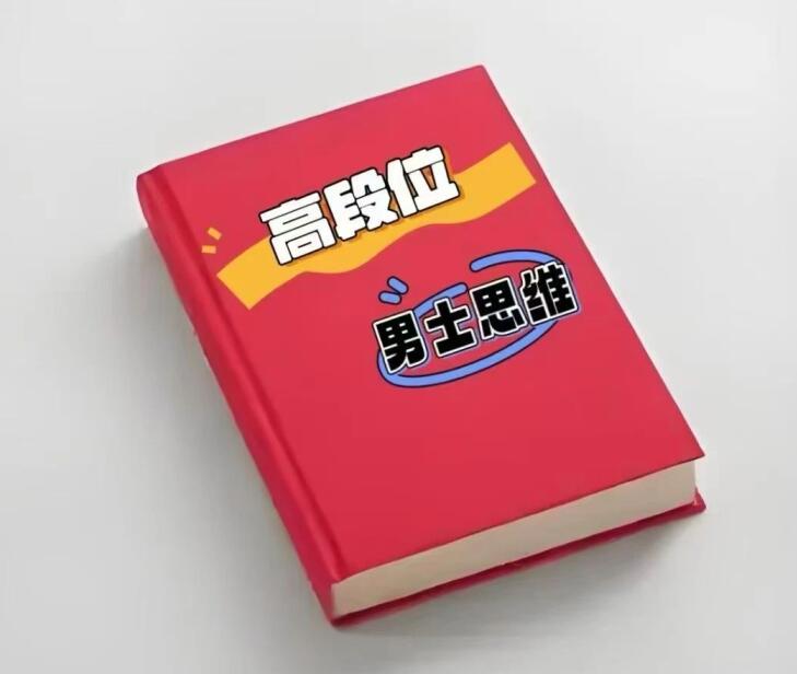 《高位段男思维》PDF