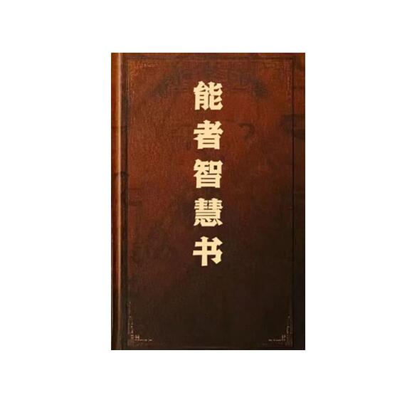 《能者智慧书》PDF